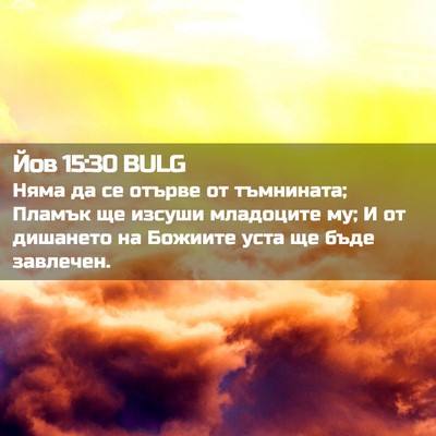 Picture 02 - Йов 15:30 BULG - Няма да се отърве от - Bible Verse Picture