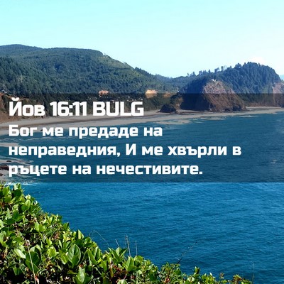 Picture 02 - Йов 16:11 BULG - Бог ме предаде на - Bible Verse Picture
