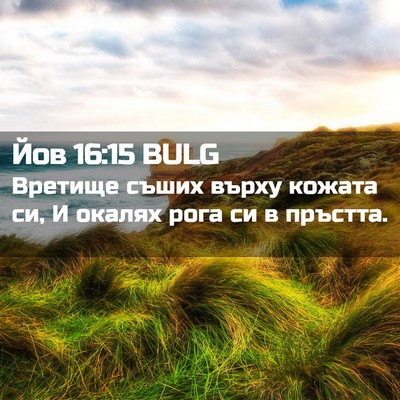 Picture 02 - Йов 16:15 BULG - Вретище съших върху кожата - Bible Verse Picture