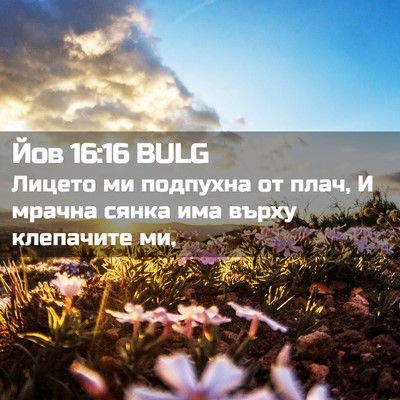 Picture 02 - Йов 16:16 BULG - Лицето ми подпухна от плач, - Bible Verse Picture