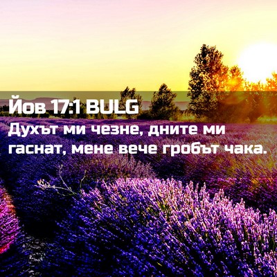Picture 02 - Йов 17:1 BULG - Духът ми чезне, дните ми - Bible Verse Picture