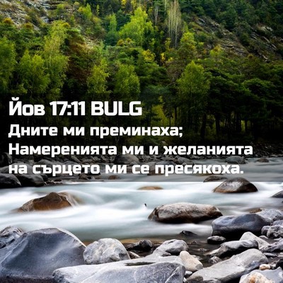 Picture 02 - Йов 17:11 BULG - Дните ми преминаха; - Bible Verse Picture