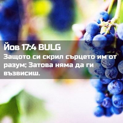 Picture 02 - Йов 17:4 BULG - Защото си скрил сърцето им - Bible Verse Picture