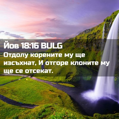 Picture 02 - Йов 18:16 BULG - Отдолу корените му ще - Bible Verse Picture