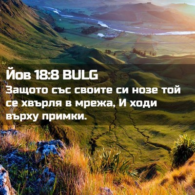 Picture 02 - Йов 18:8 BULG - Защото със своите си нозе - Bible Verse Picture
