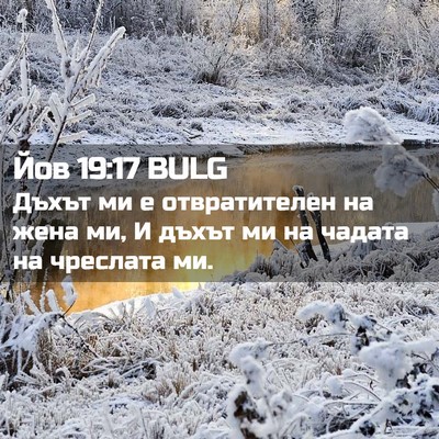 Picture 02 - Йов 19:17 BULG - Дъхът ми е отвратителен на - Bible Verse Picture