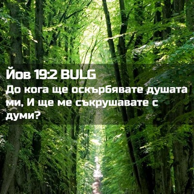 Picture 02 - Йов 19:2 BULG - До кога ще оскърбявате - Bible Verse Picture