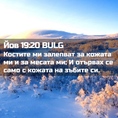 Picture 02 - Йов 19:20 BULG - Костите ми залепват за - Bible Verse Picture