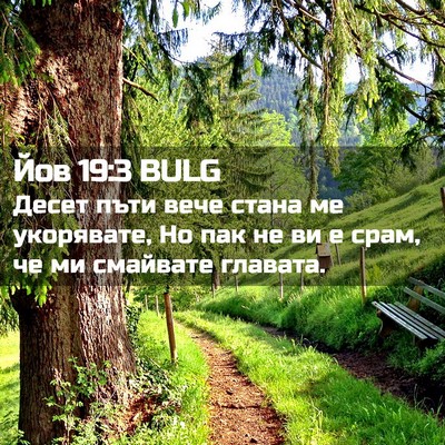 Picture 02 - Йов 19:3 BULG - Десет пъти вече стана ме - Bible Verse Picture