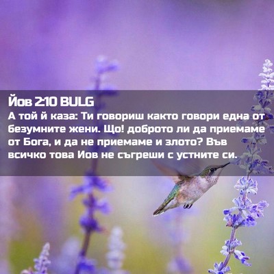 Picture 02 - Йов 2:10 BULG - А той й каза: Ти говориш - Bible Verse Picture