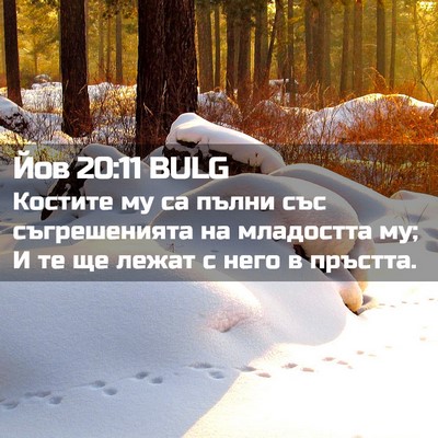 Picture 02 - Йов 20:11 BULG - Костите му са пълни със - Bible Verse Picture