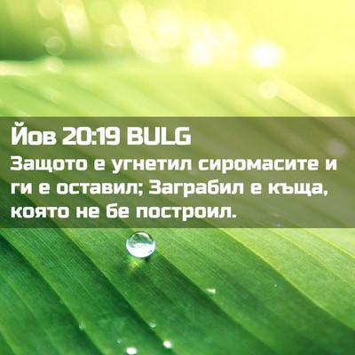 Picture 02 - Йов 20:19 BULG - Защото е угнетил - Bible Verse Picture