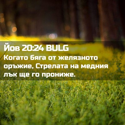 Picture 02 - Йов 20:24 BULG - Когато бяга от желязното - Bible Verse Picture