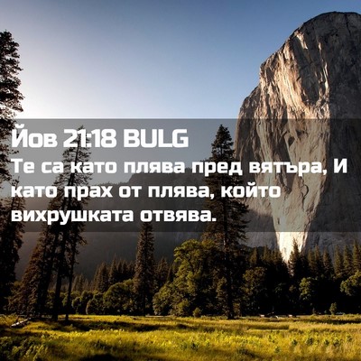 Picture 02 - Йов 21:18 BULG - Те са като плява пред - Bible Verse Picture
