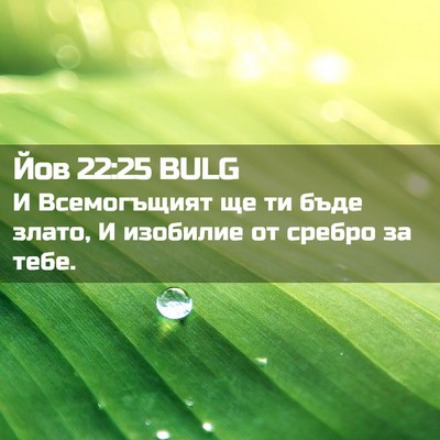 Picture 02 - Йов 22:25 BULG - И Всемогъщият ще ти бъде - Bible Verse Picture