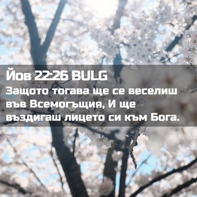 Picture 02 - Йов 22:26 BULG - Защото тогава ще се - Bible Verse Picture