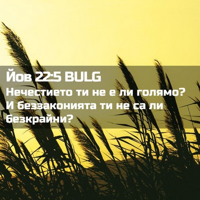 Picture 02 - Йов 22:5 BULG - Нечестието ти не е ли - Bible Verse Picture
