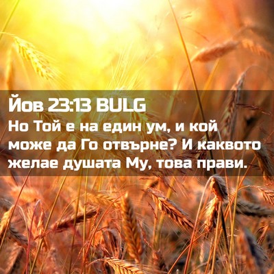 Picture 02 - Йов 23:13 BULG - Но Той е на един ум, и кой - Bible Verse Picture