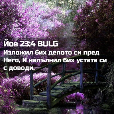 Picture 02 - Йов 23:4 BULG - Изложил бих делото си пред - Bible Verse Picture