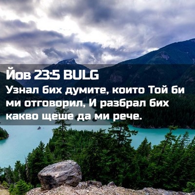 Picture 02 - Йов 23:5 BULG - Узнал бих думите, които Той - Bible Verse Picture