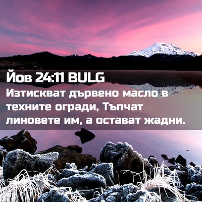 Picture 02 - Йов 24:11 BULG - Изтискват дървено масло в - Bible Verse Picture