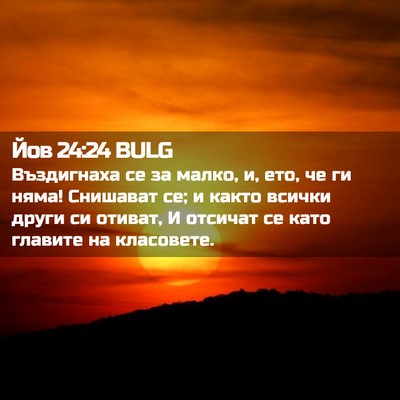 Picture 02 - Йов 24:24 BULG - Въздигнаха се за малко, и, - Bible Verse Picture