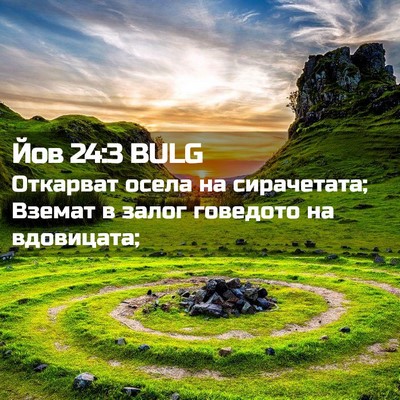 Picture 02 - Йов 24:3 BULG - Откарват осела на - Bible Verse Picture