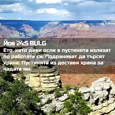 Picture 02 - Йов 24:5 BULG - Ето, като диви осли в - Bible Verse Picture
