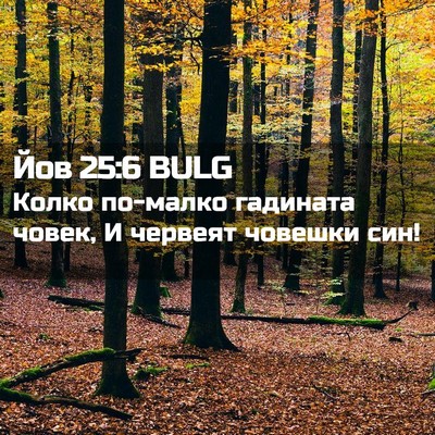 Picture 02 - Йов 25:6 BULG - Колко по-малко гадината - Bible Verse Picture