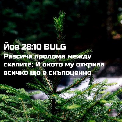 Picture 02 - Йов 28:10 BULG - Разсича проломи между - Bible Verse Picture