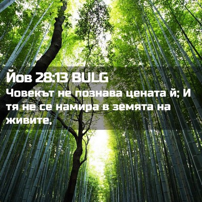 Picture 02 - Йов 28:13 BULG - Човекът не познава цената - Bible Verse Picture