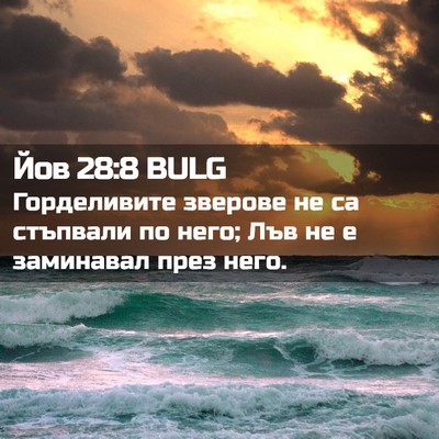 Picture 02 - Йов 28:8 BULG - Горделивите зверове не са - Bible Verse Picture