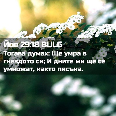 Picture 02 - Йов 29:18 BULG - Тогава думах: Ще умра в - Bible Verse Picture