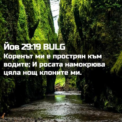 Picture 02 - Йов 29:19 BULG - Коренът ми е прострян към - Bible Verse Picture