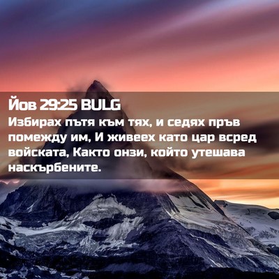 Picture 02 - Йов 29:25 BULG - Избирах пътя към тях, и - Bible Verse Picture