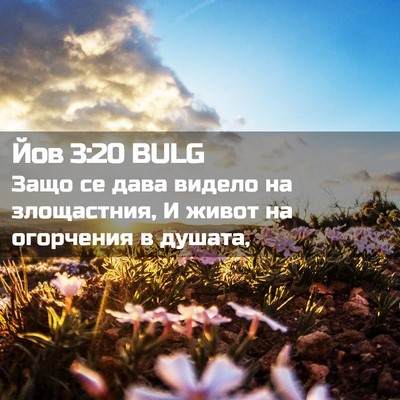 Picture 02 - Йов 3:20 BULG - Защо се дава видело на - Bible Verse Picture