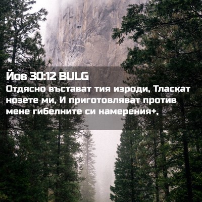 Picture 02 - Йов 30:12 BULG - Отдясно въстават тия - Bible Verse Picture