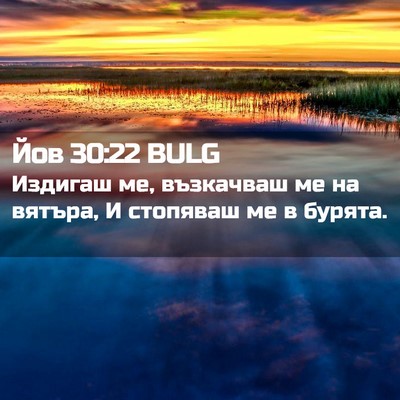 Picture 02 - Йов 30:22 BULG - Издигаш ме, възкачваш ме на - Bible Verse Picture
