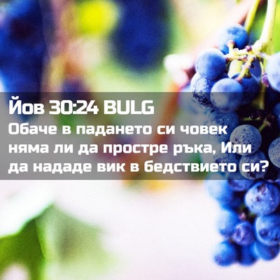 Picture 02 - Йов 30:24 BULG - Обаче в падането си човек - Bible Verse Picture
