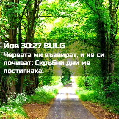 Picture 02 - Йов 30:27 BULG - Червата ми възвират, и не - Bible Verse Picture