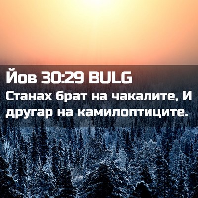 Picture 02 - Йов 30:29 BULG - Станах брат на чакалите, И - Bible Verse Picture