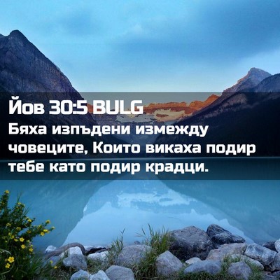 Picture 02 - Йов 30:5 BULG - Бяха изпъдени измежду - Bible Verse Picture