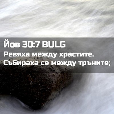 Picture 02 - Йов 30:7 BULG - Ревяха между храстите. - Bible Verse Picture