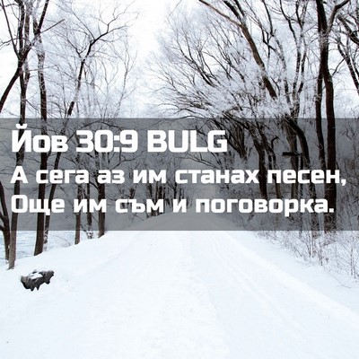 Picture 02 - Йов 30:9 BULG - А сега аз им станах песен, - Bible Verse Picture