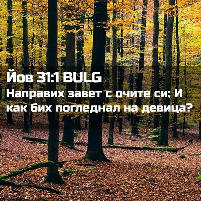 Picture 02 - Йов 31:1 BULG - Направих завет с очите си; - Bible Verse Picture