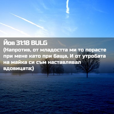 Picture 02 - Йов 31:18 BULG - (Напротив, от младостта ми - Bible Verse Picture