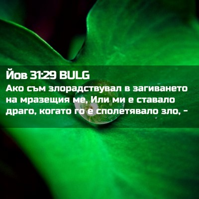 Picture 02 - Йов 31:29 BULG - Ако съм злорадствувал в - Bible Verse Picture