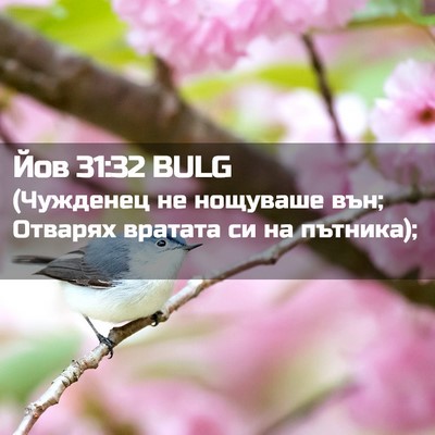 Picture 02 - Йов 31:32 BULG - (Чужденец не нощуваше вън; - Bible Verse Picture