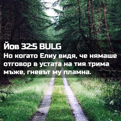 Picture 02 - Йов 32:5 BULG - Но когато Елиу видя, че - Bible Verse Picture