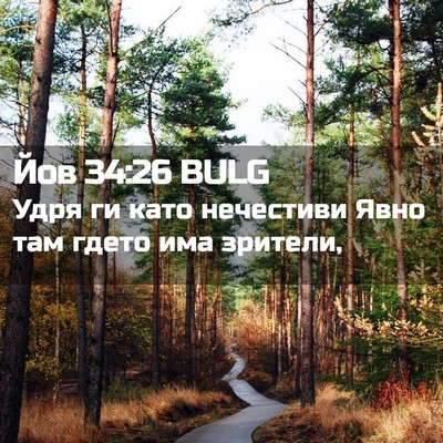Picture 02 - Йов 34:26 BULG - Удря ги като нечестиви - Bible Verse Picture